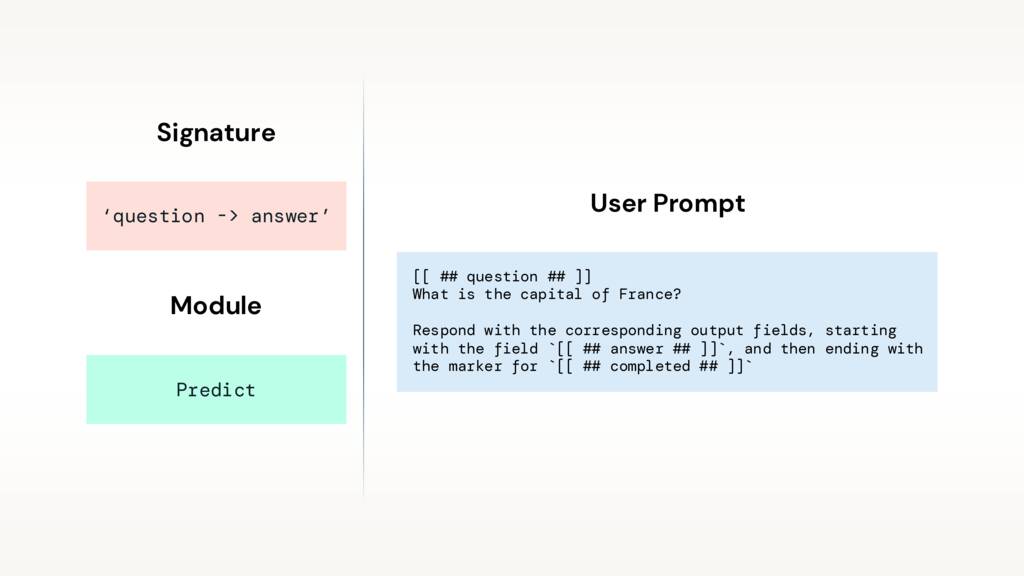 User prompt example showing input formatting